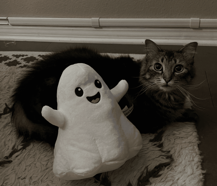 Charlie the cat with a ghost plushie